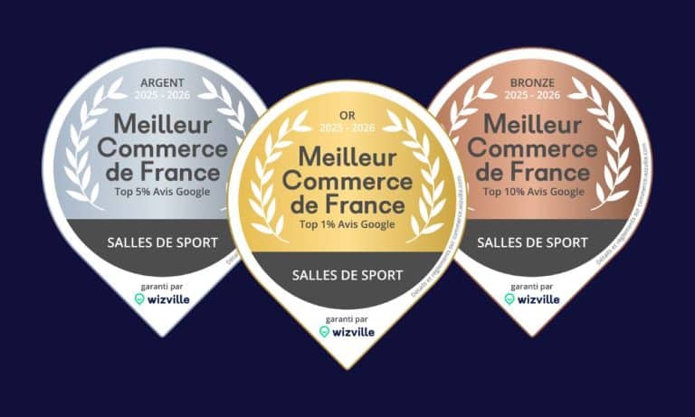 prix wizville
