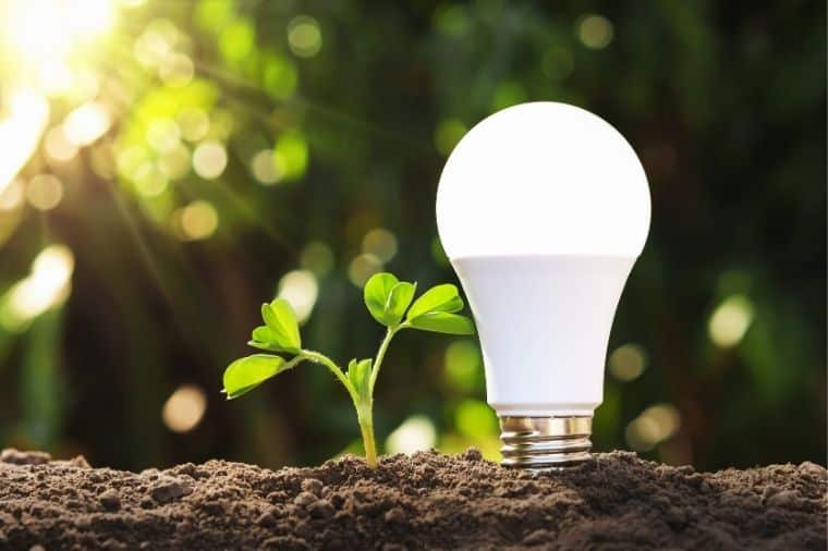 ampoule led